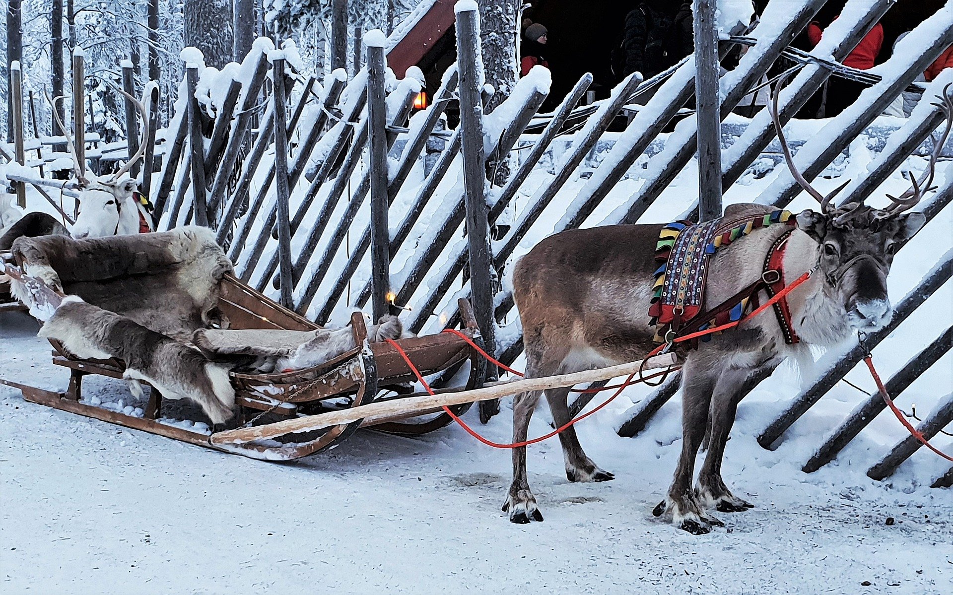 Lennot Lappiin (Ivalo) 130 euroa
