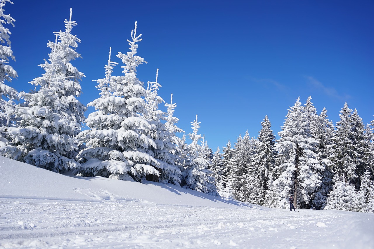 Lennot Östersundiin (Åre) 105 euroa